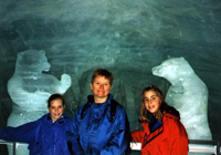 Inside the Glacier